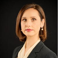 Iulia Meiroșu - Enexus
